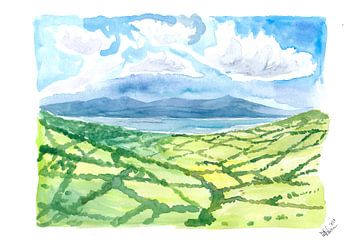 Grünes Irland Blick auf Wiesen und Meer Ring of Kerry von Markus Bleichner