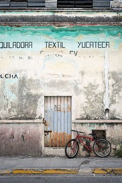 Straatfotografie met rode fiets in Mexico I Reis Fotografie van Lizzy Komen