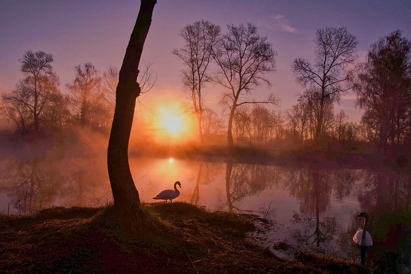 Morgendämmerung von Tanja Voigt