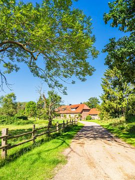 Maison avec route et arbres sur l'île de Kampenwerder dans la Schaa sur Rico Ködder