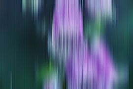 Texturen