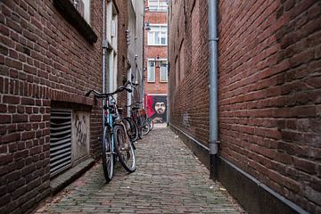 Haarlem, een steegje met Graffiti van Cilia Brandts