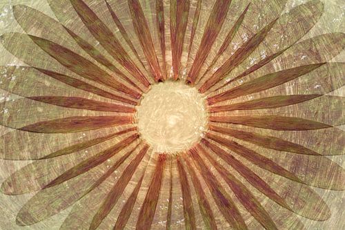 Botanical circle of leaves in nature tones