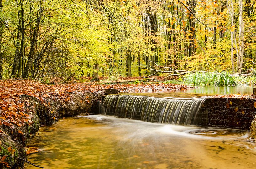 Wasserfall in einem Herbstwald von Frans Blok
