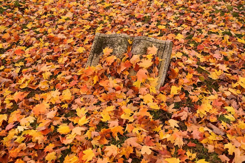 A cemetery in autumn by Claude Laprise