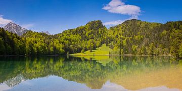 Alatsee in de Allgäu van Walter G. Allgöwer