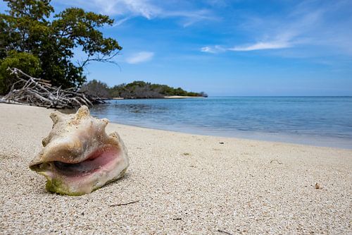 Serene rust op een paradijselijk eiland bij Cuba