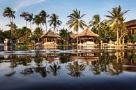 Patra Jasa Bali resort  van Willem Vernes thumbnail