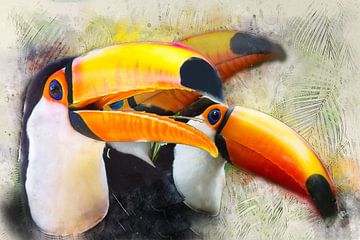 Toucan sur Bert Quaedvlieg