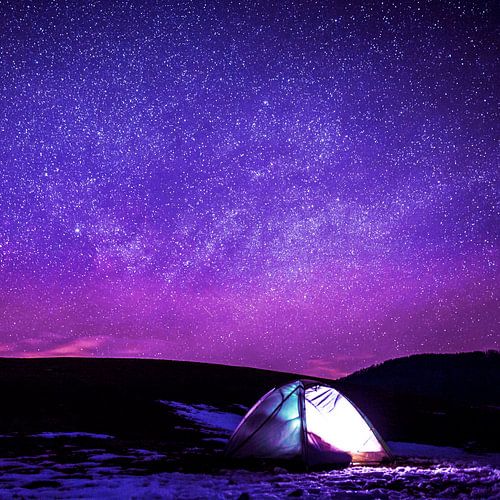 In het nest van sterren II