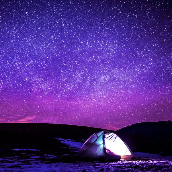In the nest of stars II by Mad Dog Art