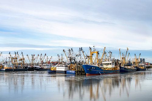 Vissersboten in de haven van Lauwersoog