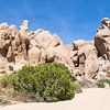 Joshua Tree National Park Panorama by Melanie Viola