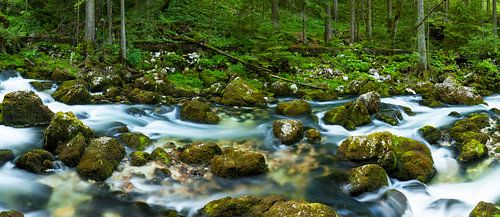 Golling aan de Salzach 1