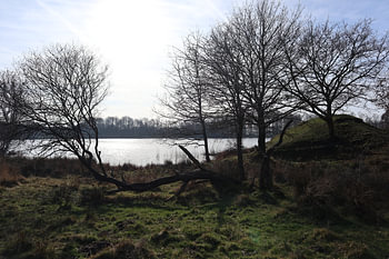 Wyldemerk