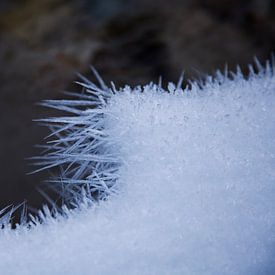 Ice needles by Fabian Roessler