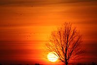 Coucher de soleil africain à Chaam.