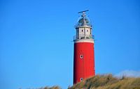 Texel