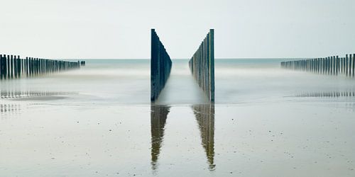 Mosselpalen in de branding