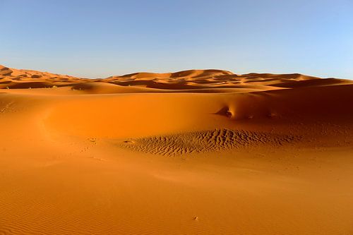Uitgestrekt woestijngebied Marokko, de Sahara