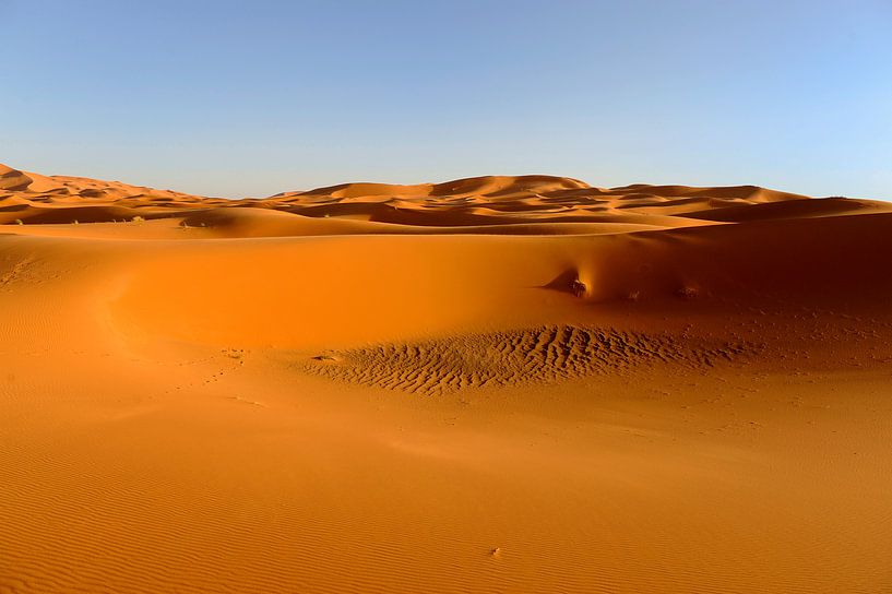 Riesigen Wüstenregion Marokko. Am Rande der Sahara von Gonnie van de Schans