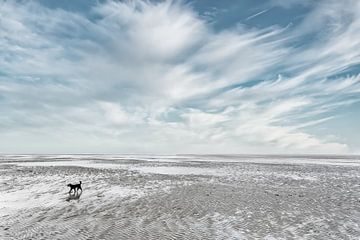 Dog_in_the_Watt-2 van Manfred Rautenberg Photoart