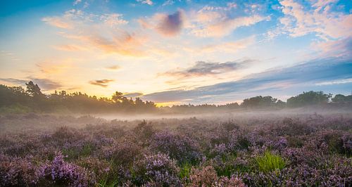 Zonsopgang Drunense Duinen
