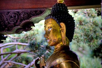 Buddha statue in the Nepal Himalaya pavilion Wiesent near Regensburg by Roith Fotografie