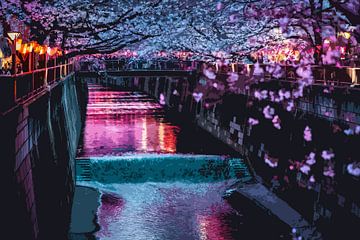 Lampionen en kersenbloesems in Tokio van Mickéle Godderis