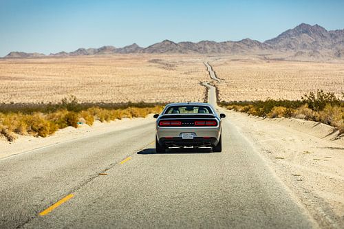 Dodge Challenger auf der US Route 66 - Oatman - Kingman