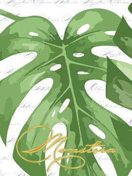 Monstera sur fond blanc avec Monstera en triptyque 1 sur 3