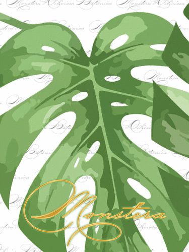 Monstera op wit met Monstera als drieluik 1 van 3