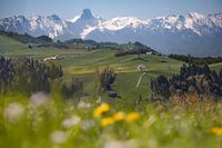 De lente in Entlebuch