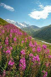 Mountain and glacier in Georgia near Ushguli