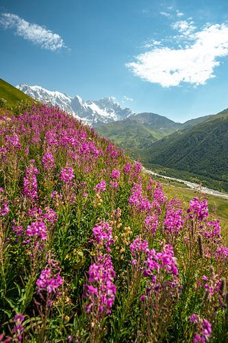 Berg en gletsjer in Georgië bij Ushguli