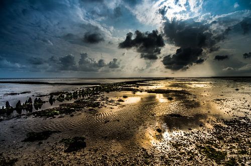 Sunset Terschelling