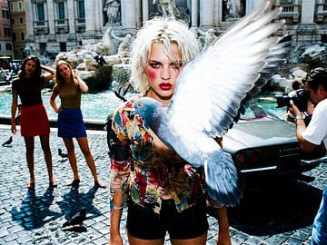 Pictures and Pigeons by Robert Betzl