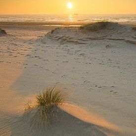 Dune in evening light by peterheinspictures