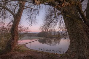 Réserve naturelle de la chambre bleue sur Moetwil en van Dijk - Fotografie