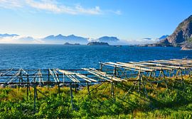 Ready for the Next Fishing Season by Gisela Scheffbuch