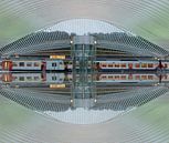 Trainstation Liege(Luik) van Brian Morgan thumbnail