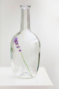 Lavender in vase by Ester Ammerlaan