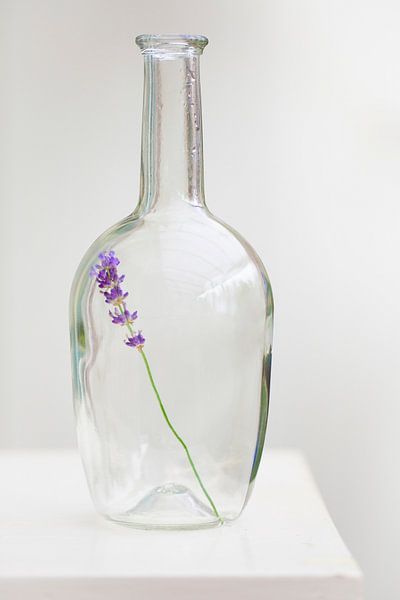 Lavendel in Vase von Ester Ammerlaan