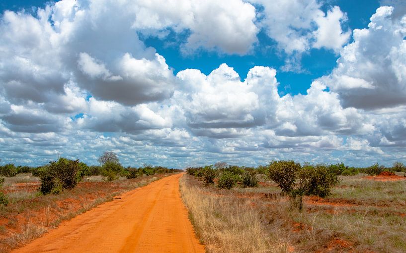Dirt Road in Africa van Alex Hiemstra