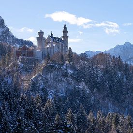 Châteaux de Neuschwanstein et de Hohenschwangau avec panorama sur les Alpes sur Frank Herrmann