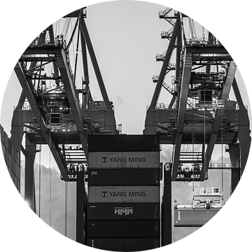 Containerterminal 8 van Nuance Beeld