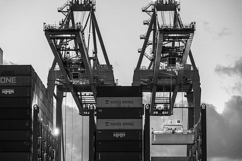 Container terminal 8 by Nuance Beeld
