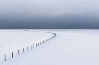 Een leeg winters landschap bedekt met sneeuw in het Nationaal park Lauwersmeer. Aan de horizon drijv van Bas Meelker thumbnail