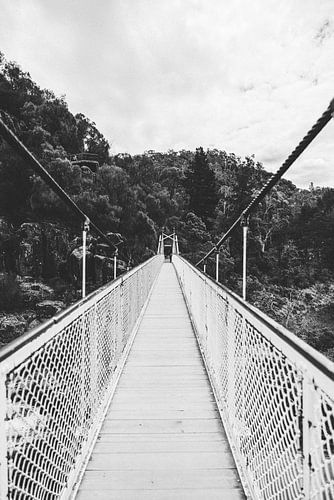 Cataract Gorge: Launceston's Natuurlijke Oase