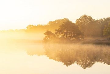 Lever de soleil Terhorsterzand (Pays-Bas) sur Marcel Kerdijk